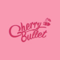 artist profile