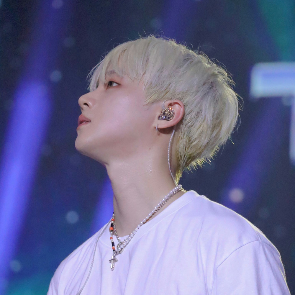 comment writer profile