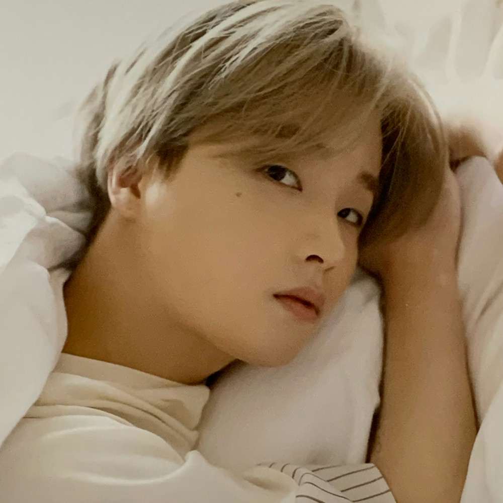 comment writer profile