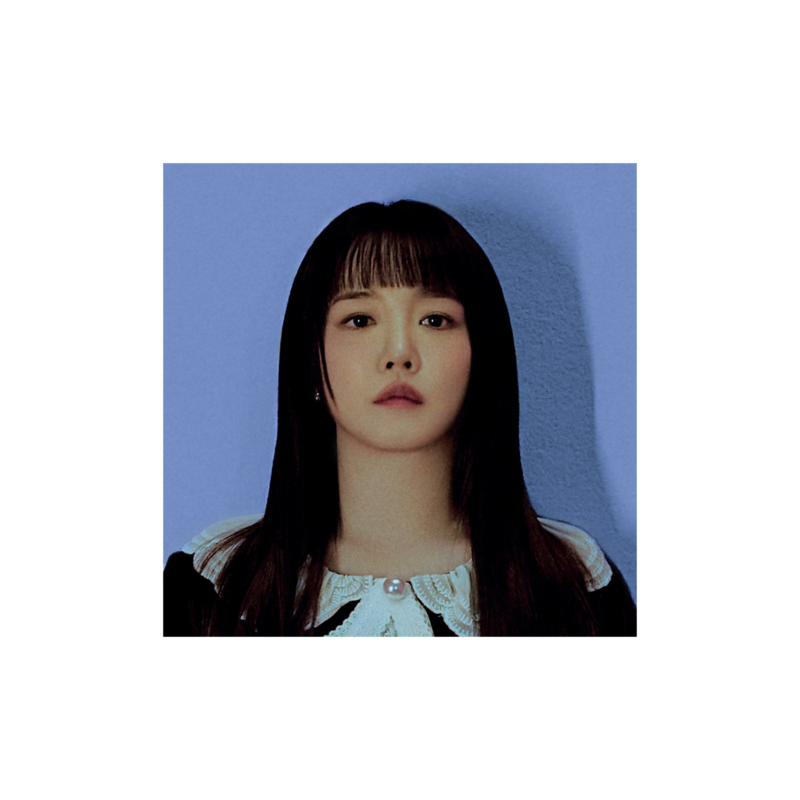 artist profile